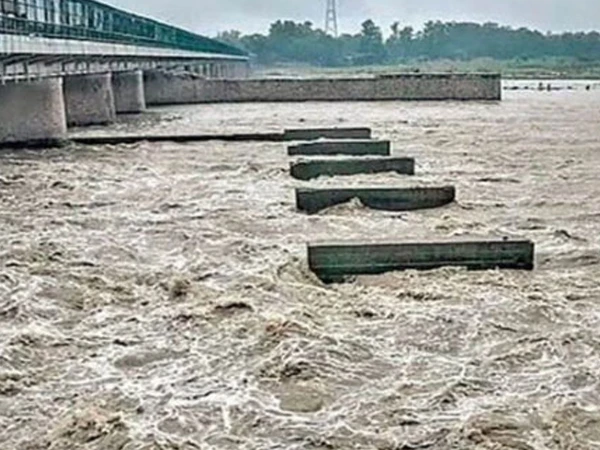 دریائے چناب بپھرنے لگا، پانی کی سطح بلند ہونے قریبی آبادی کو فوری انخلا کی ہدایات جاری