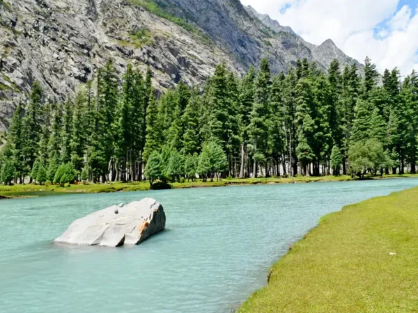سانحہ جھیل سیف اللہ: (ر) کمانڈر عامر کے برادر نسبتی نے قتل کا شبہ ظاہر کردیا، بھتیجے پر سنگین الزامات