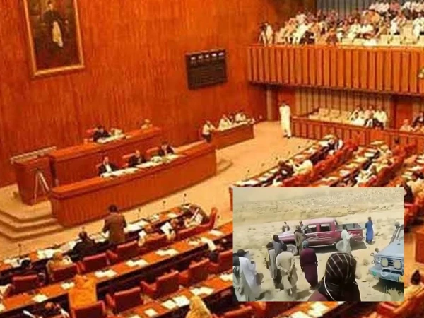 سینیٹ اجلاس، جے یو آئی نے ضم شدہ قبائلی اضلاع میں ٹیکسز کے نفاذ کی مخالفت کردی